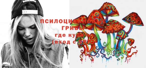 PSILOCYBIN Алексеевка