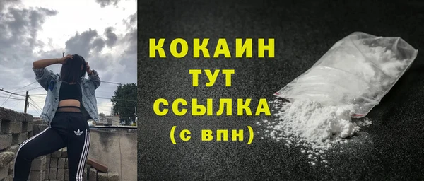 кокс Алексин