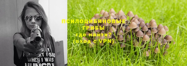 PSILOCYBIN Алексеевка