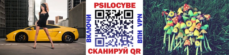 Купить где  Гурьевск  Псилоцибиновые грибы Psilocybe 